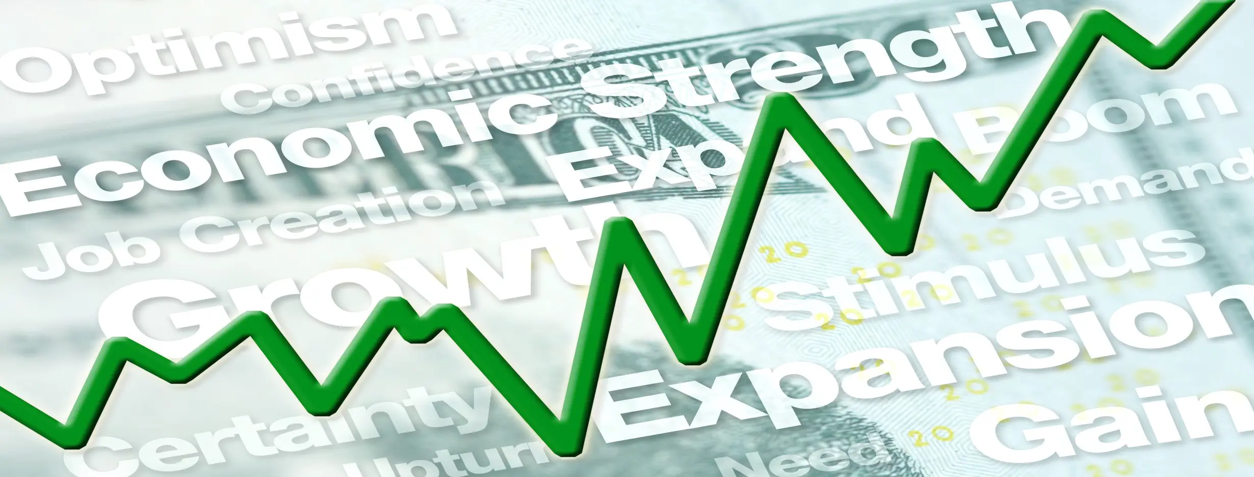 Image for Expanding Economy